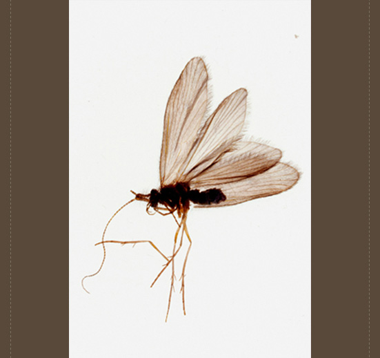 i05