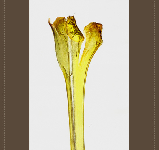 st01